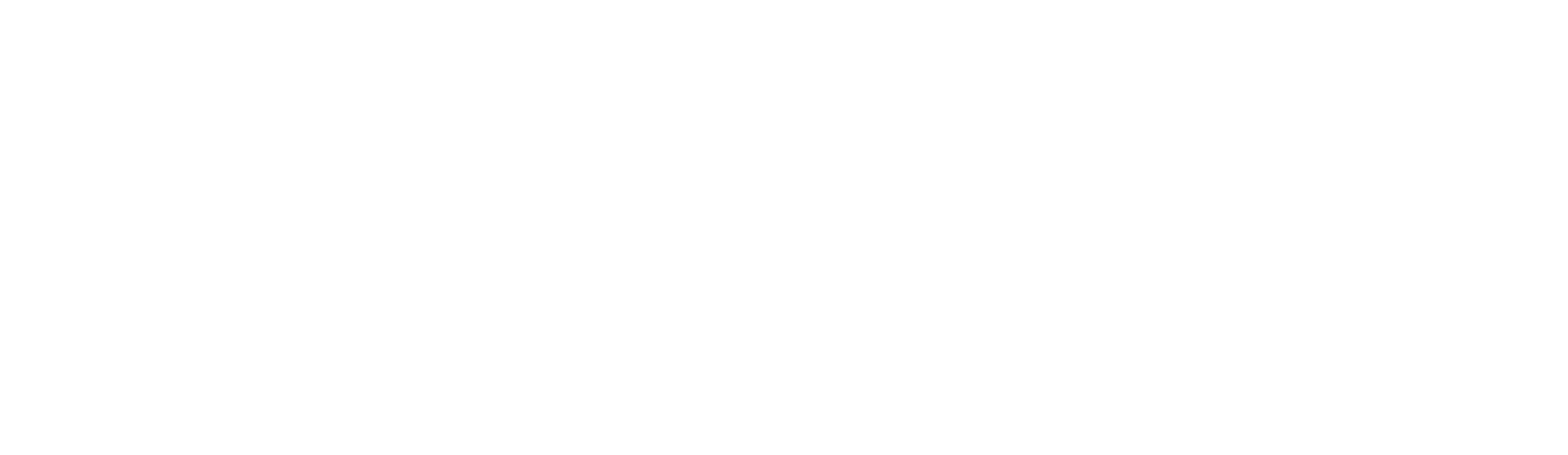 Logo_binilo_4